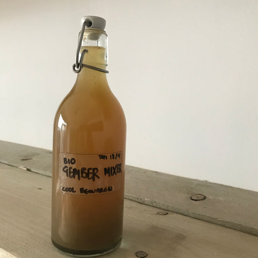 Gember Mixer Puur 60cl