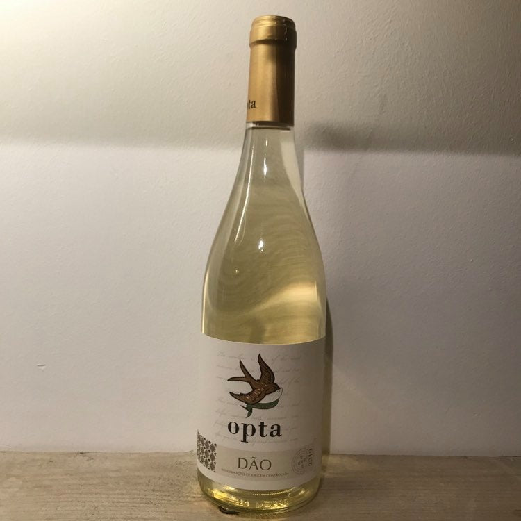Opta Daõ Branco (Wit)