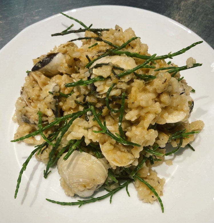 Risotto Vongole met Zeekraal